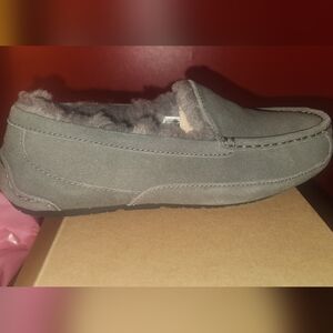 NEW GREY SUEDE ASCOT SLIPPER UGGS (Size 6 Big Girls)